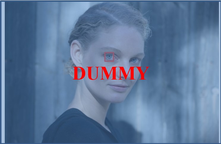 Z_FirmwareV2.0_May19