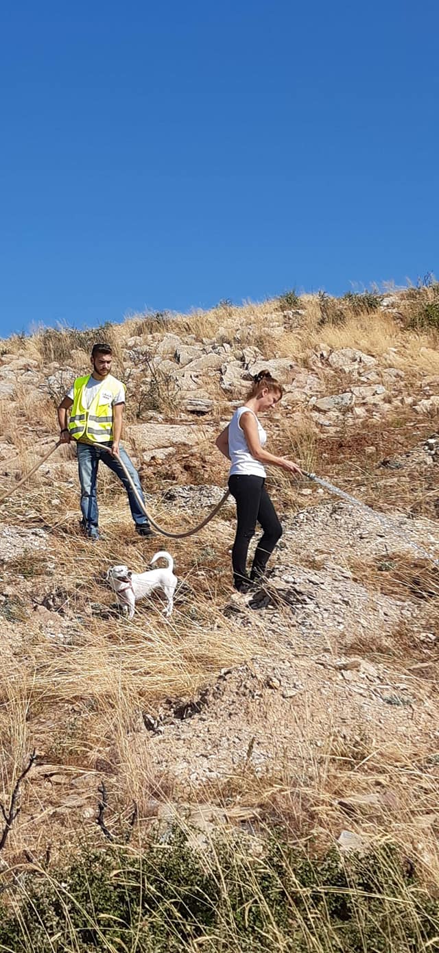 67810538_2467896076608147_7625645551362506752_o